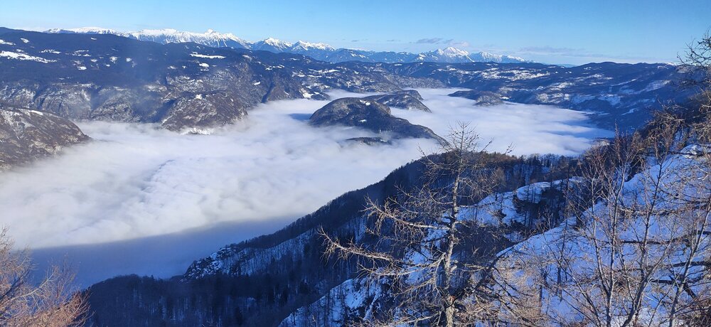 IMG20211229125024.jpg