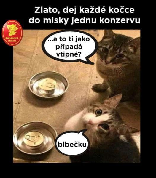 image.png.e07c22a65d6c971815d88d6cf2e259cc.png