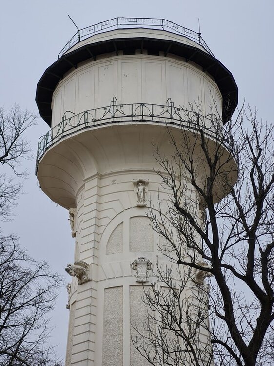 20220203_123345.jpg