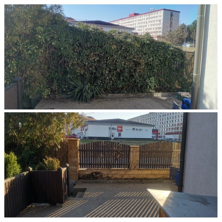 20220312_171223-COLLAGE.jpg