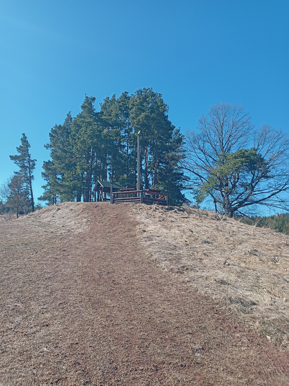 image.thumb.png.b69cc5086707acf279ee0632eb469640.png