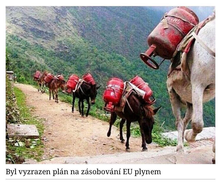 obrazek.png