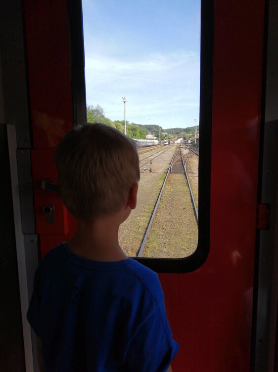 IMG-20220519-WA0005.thumb.jpeg.12a174cb633815fa597d9f93efd70b3e.jpeg