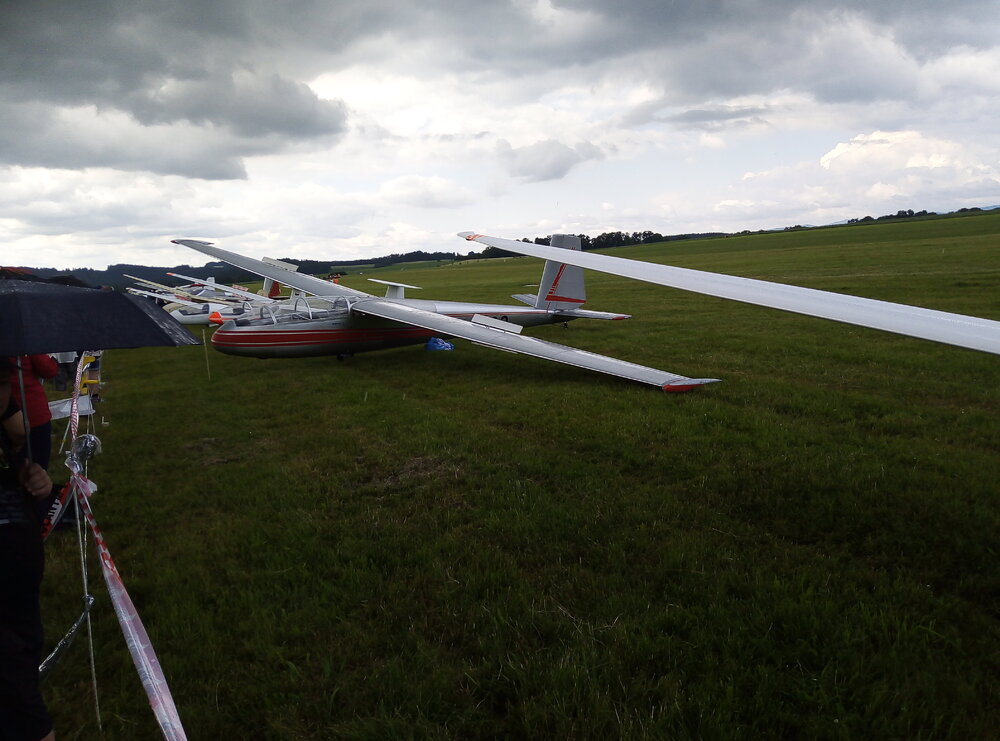 IMG_20220625_153420.jpg