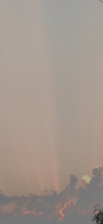 Screenshot_2022-06-30-22-12-33-722_com.miui.gallery.jpg
