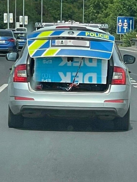 DEK1.jpg