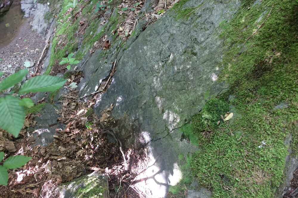 DSC01737.JPG