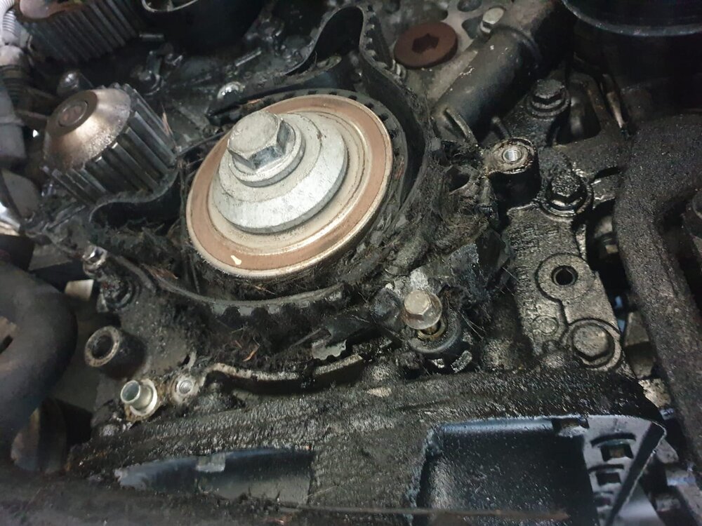IMG-20220716-WA0007.jpg