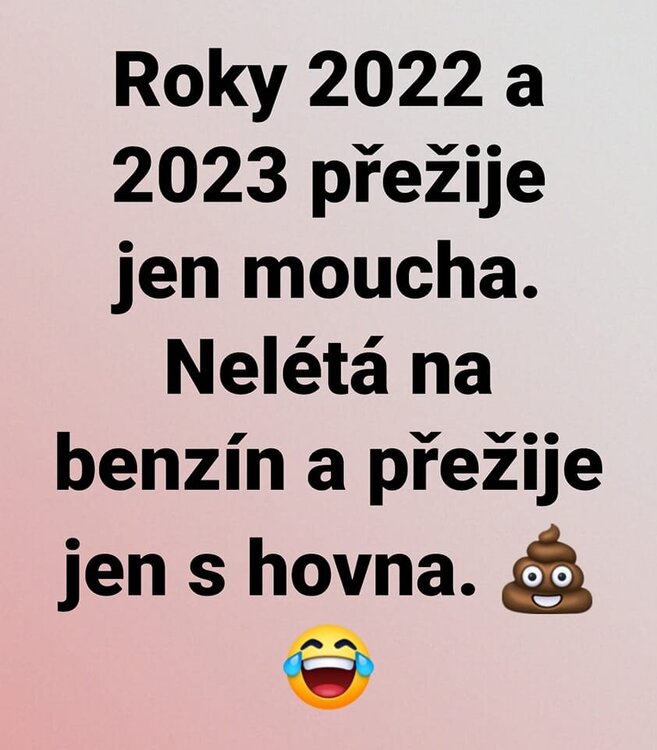 moucha.jpg
