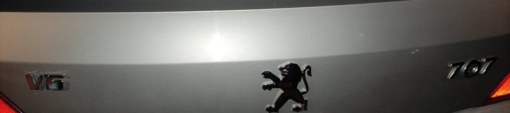 IMG_20220806_230608.jpg