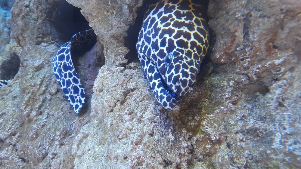 20220929_115148.jpg