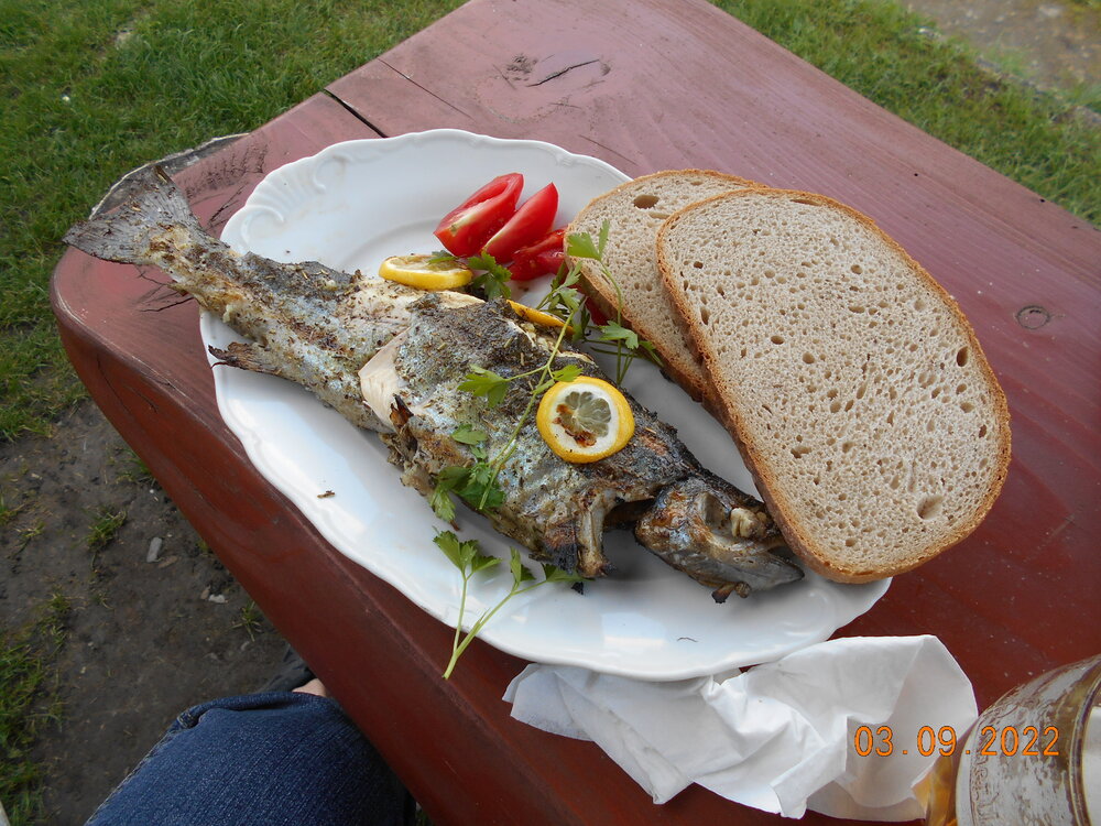 DSCN3702.JPG