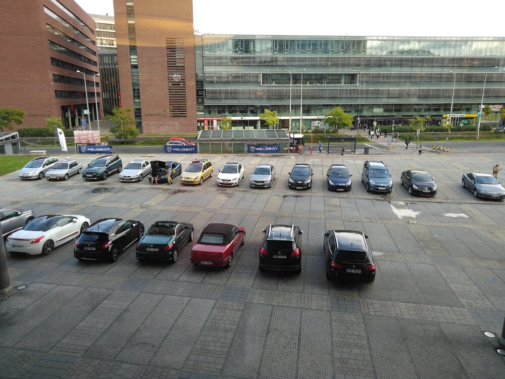 IMG_20220917_142810.jpg