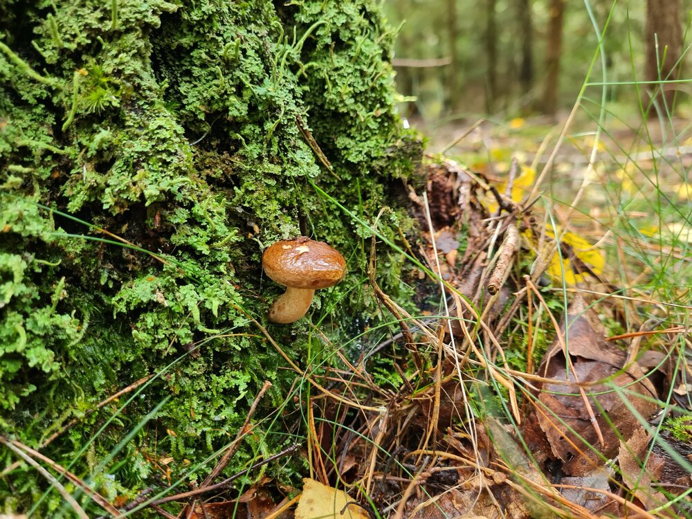 20221002_131145[1].jpg