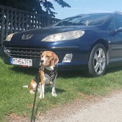 Makos89
