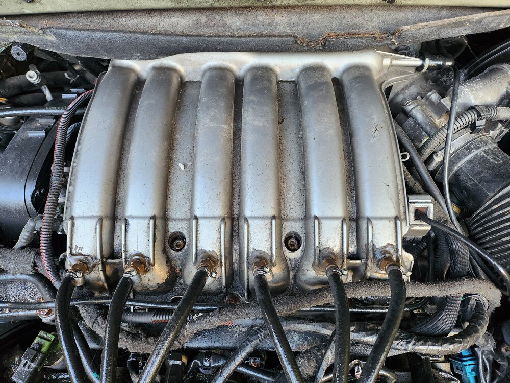 20221019_155742.jpg