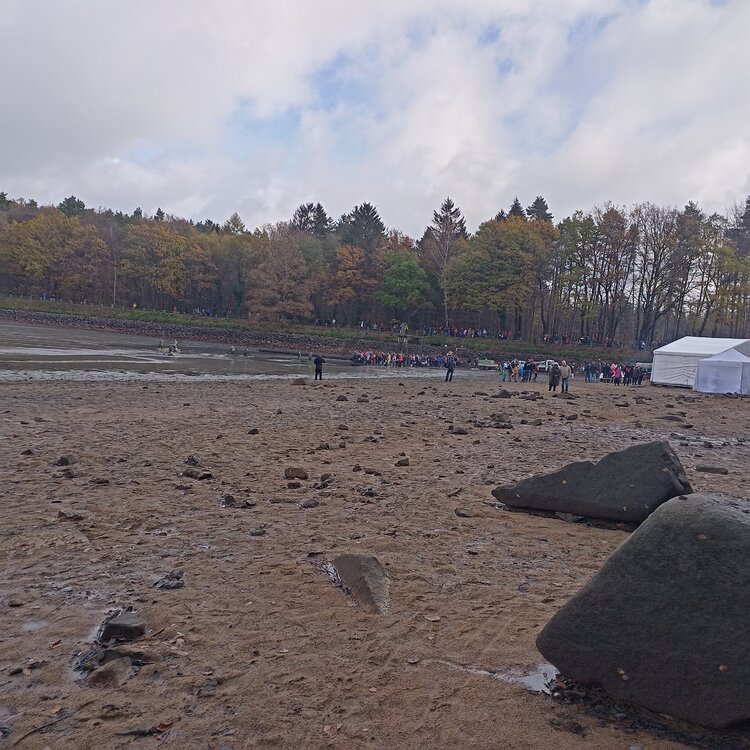 IMG_20221105_113014.jpg