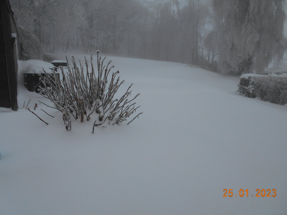 DSCN3880.JPG