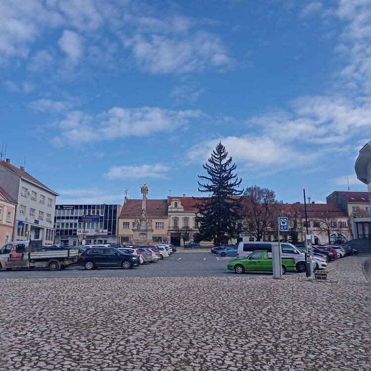 IMG_20230117_112708.jpg