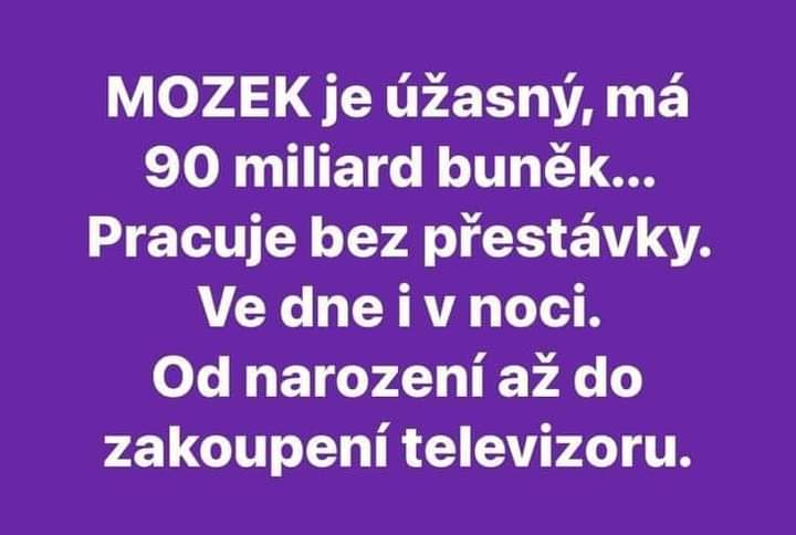obrazek.png