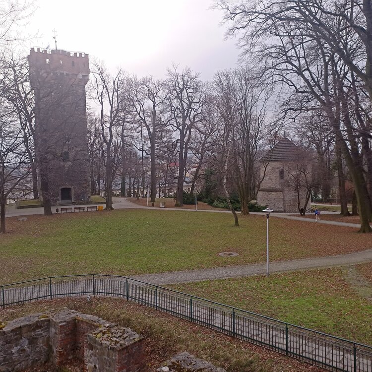 IMG_20230221_085646.jpg