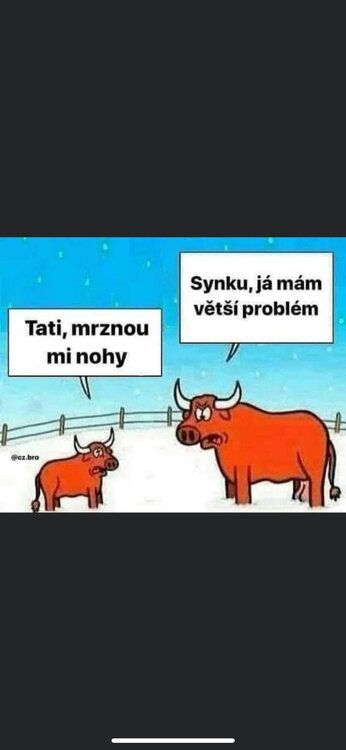 Zima.jpeg