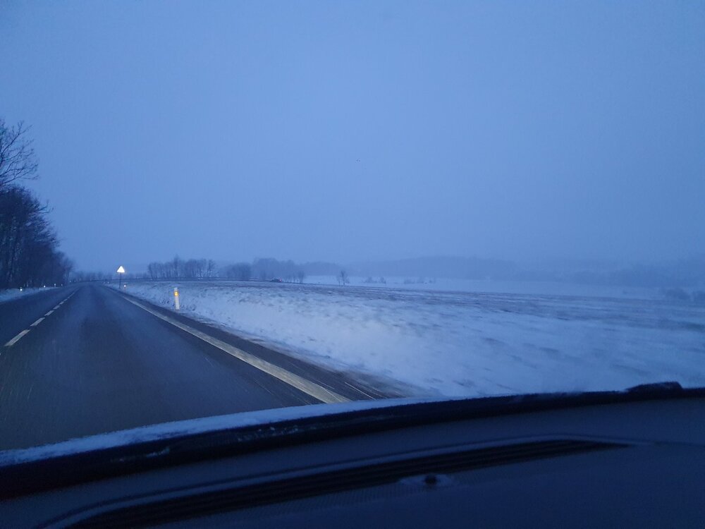 20230311_061456.jpg