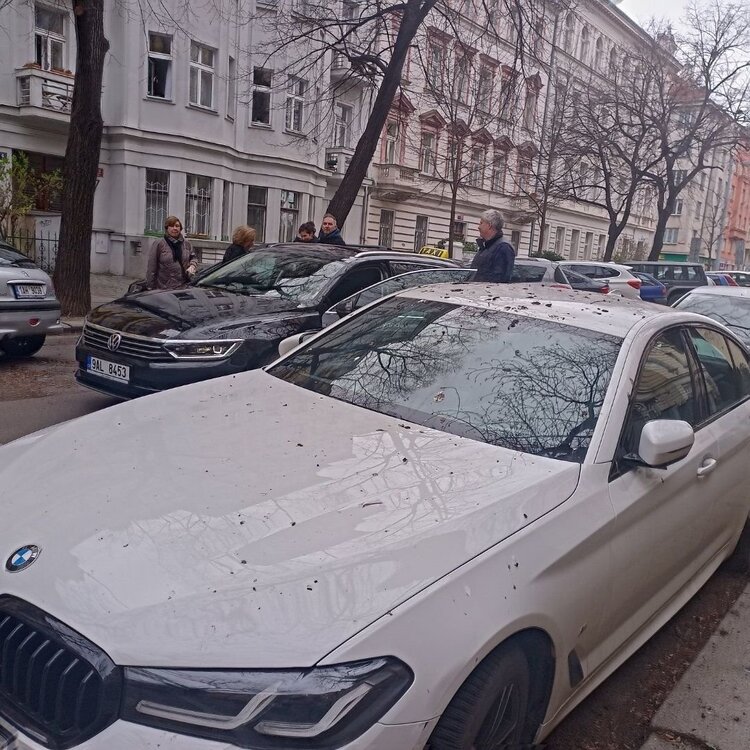 Ptak2.jpg