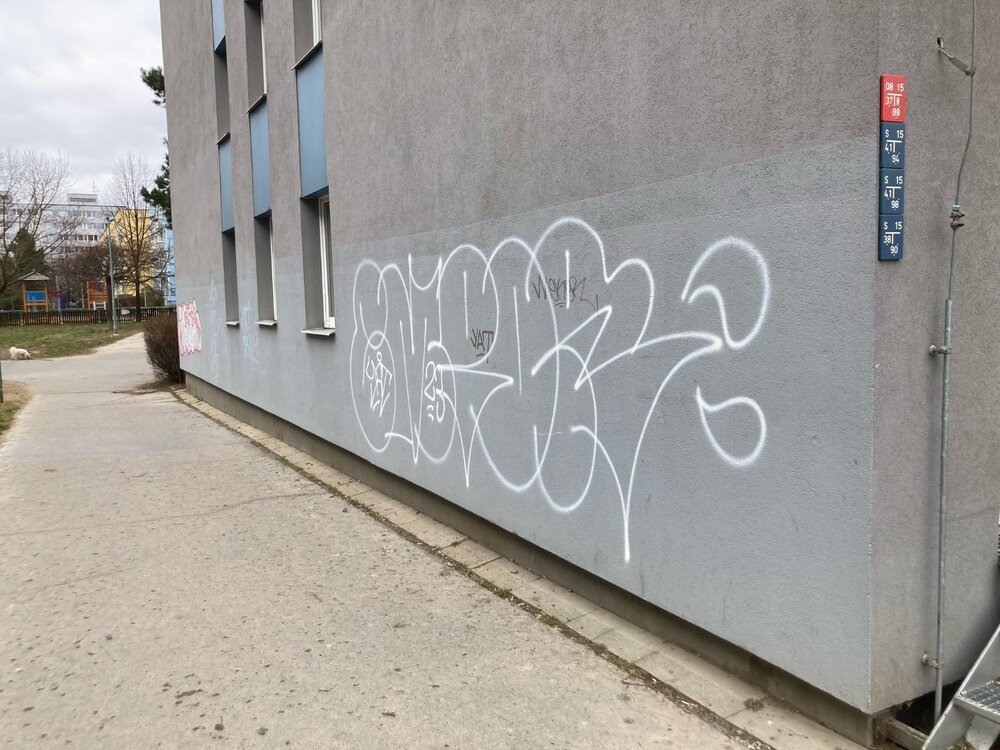 image1.jpeg