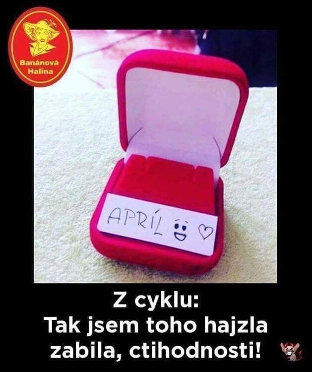 2023-04-01 09.58.56.jpg