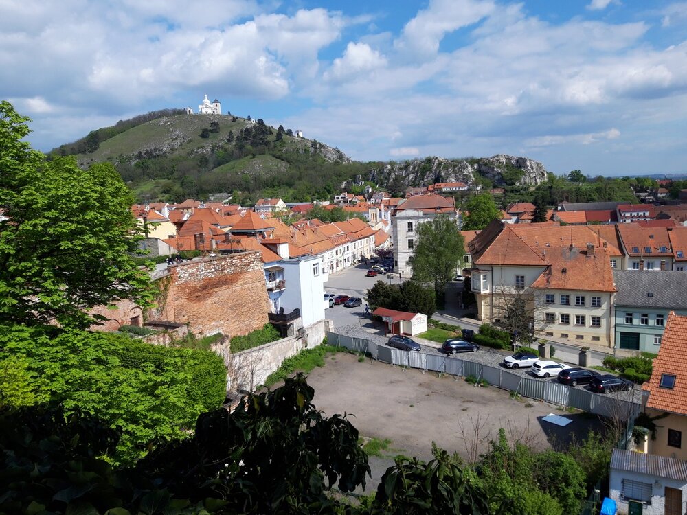 20230430_145743.jpg