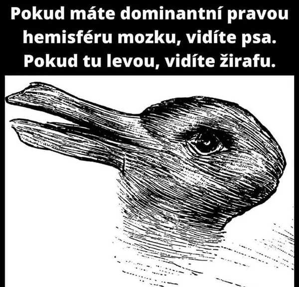 image.png.57823acf91e079942878e7f588e7cb4d.png