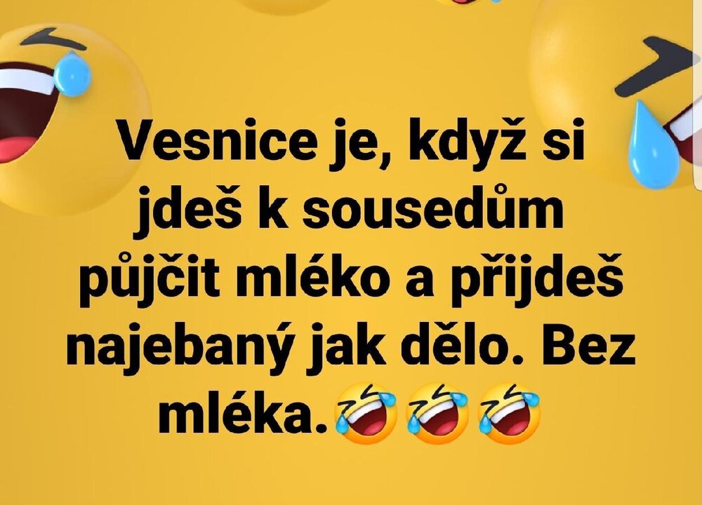 stazeny_soubor__14_.jpg