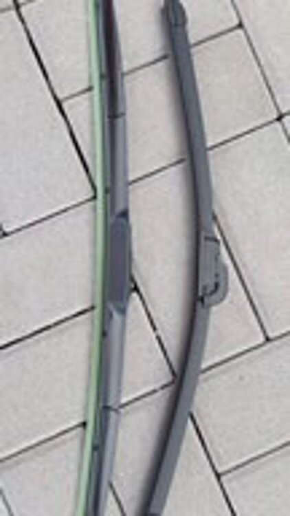 2023-05-08 009.jpg