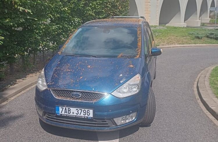 Ford1.jpg