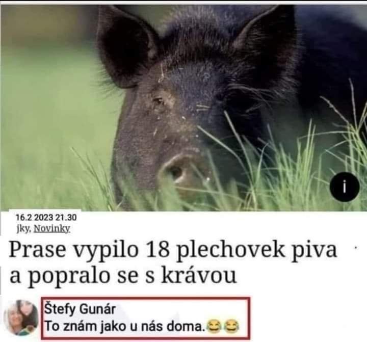 2023-07-23 17.24.49.jpg