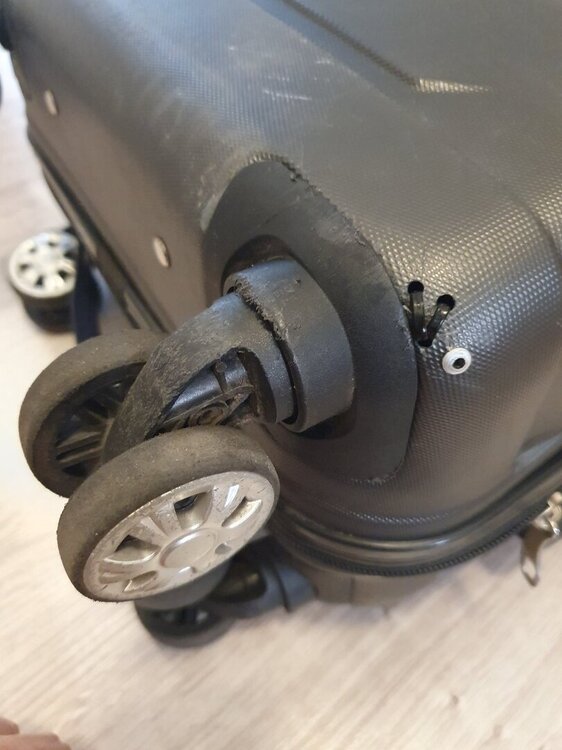20230709_180655.jpg