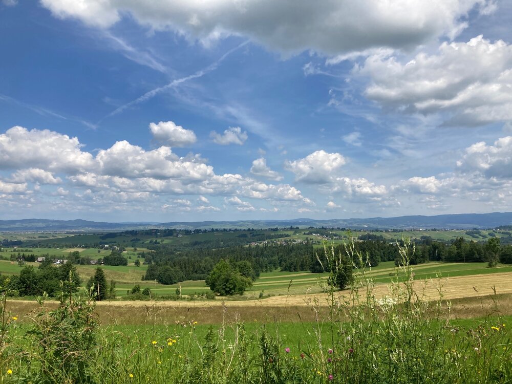 IMG_3566.jpeg