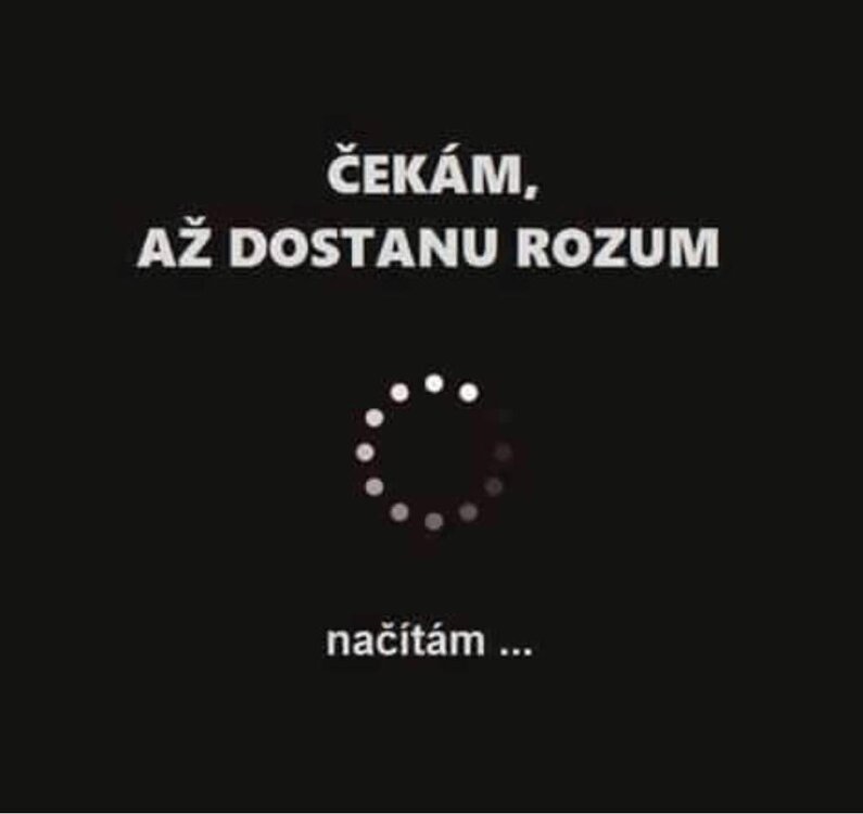 2023-08-17 10.37.50.jpg