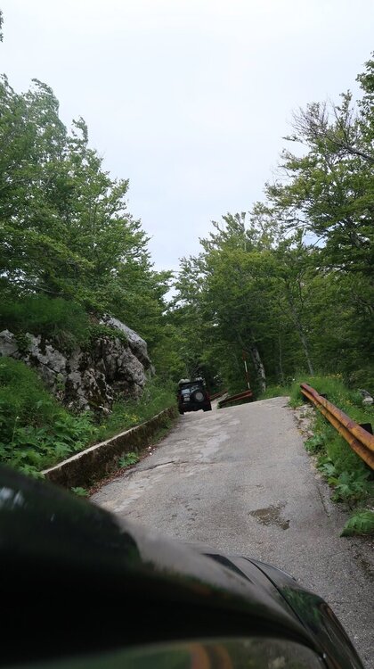 IMG_7727.JPG