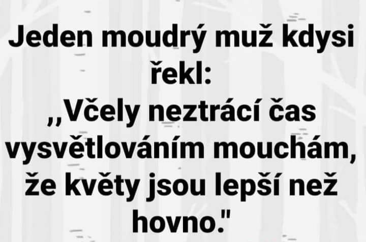 Obrázek WhatsApp, 2023-08-28 v 19.57.16.jpg