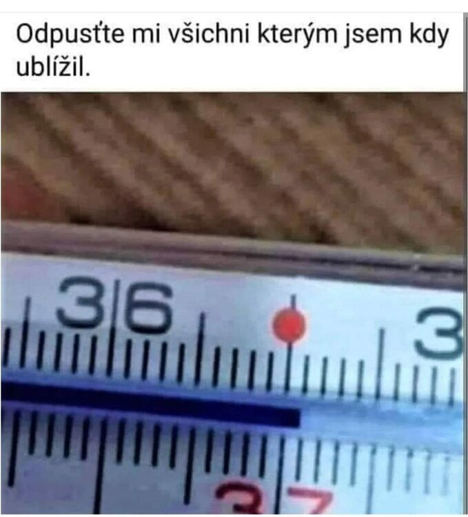 381228423_128076800391002_4667848401299928131_n.jpg