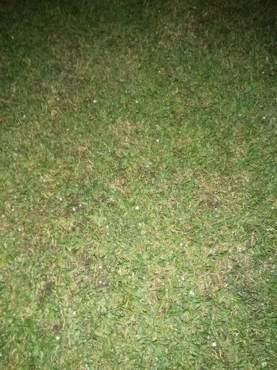 IMG_20230923_194526.jpg