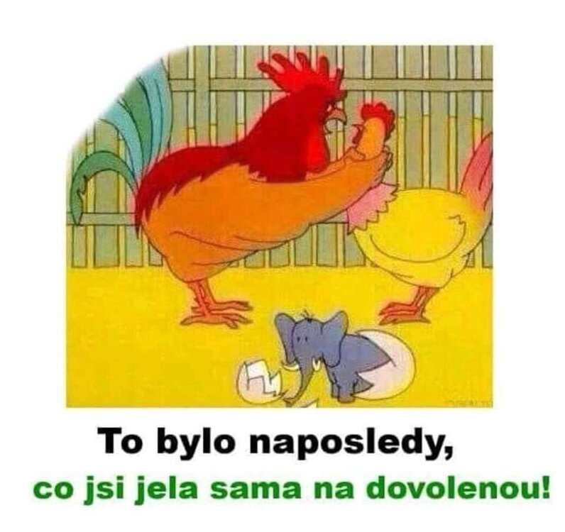 dovolená.jpg