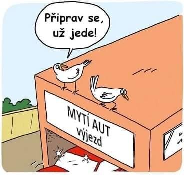 2023-10-05 10.50.02.jpg