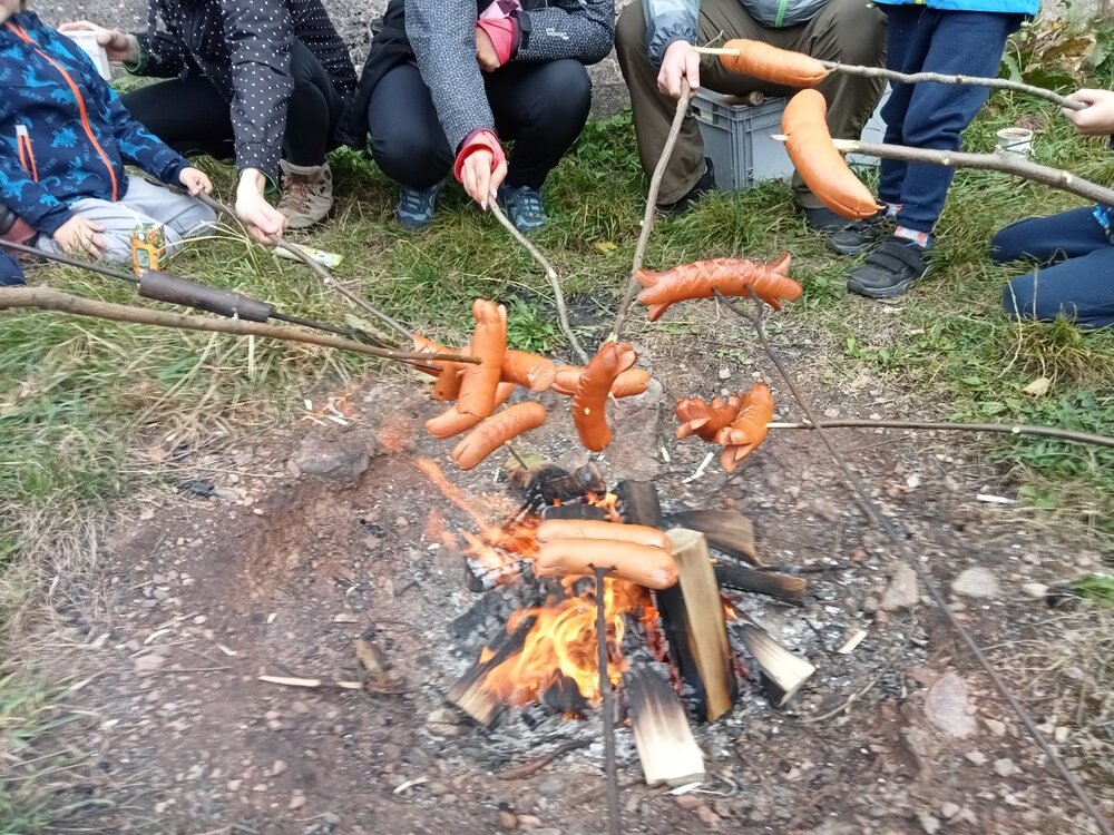 IMG20231014122949.jpg