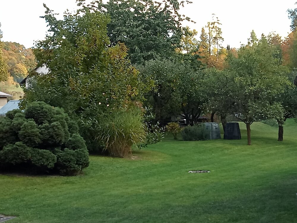 IMG20231021162509.jpg