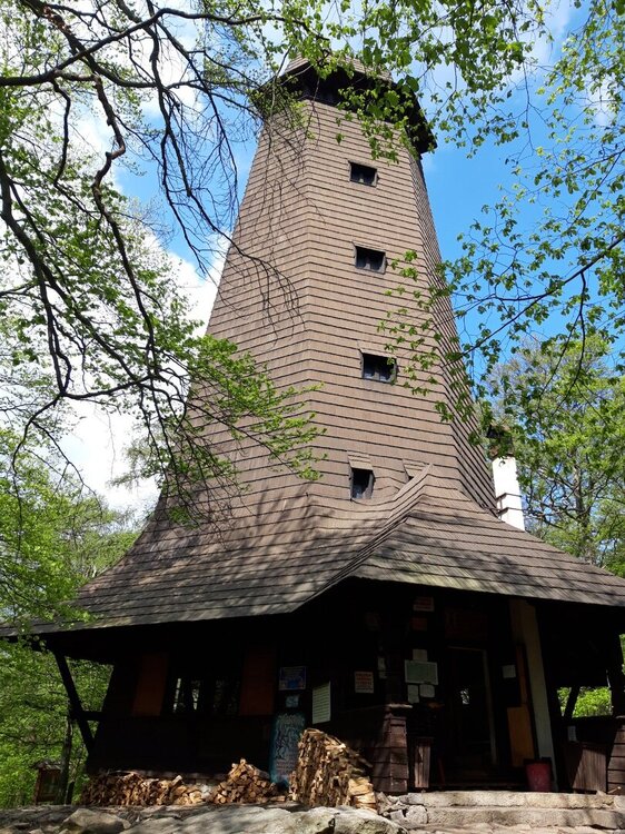 20190502_110946.jpg