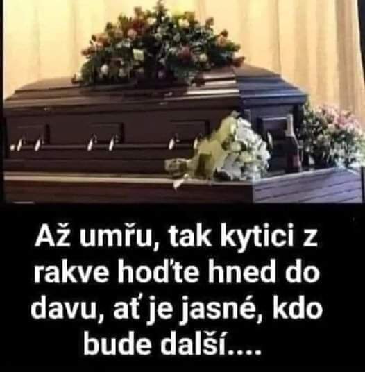 2023-11-18 14.01.27.jpg