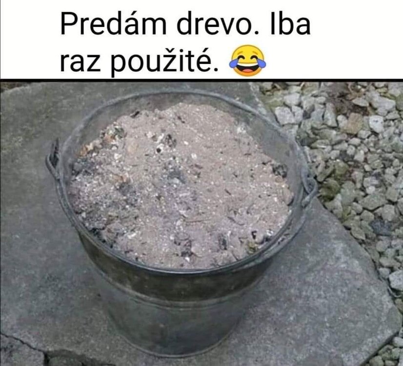2023-11-24 13.24.01.jpg